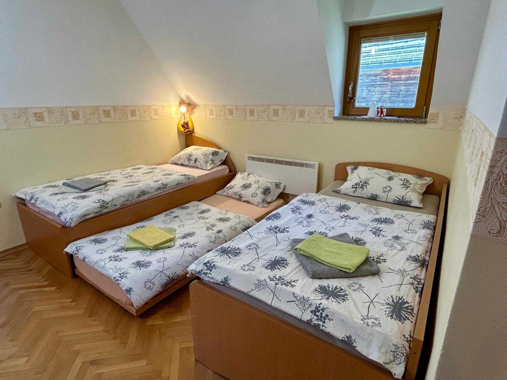 Apartment Crystal Rose Kranjska Gora Extérieur photo