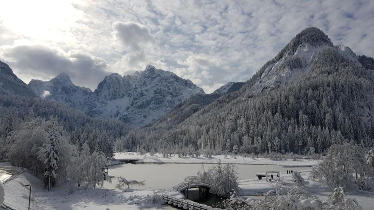 Apartment Crystal Rose Kranjska Gora Extérieur photo